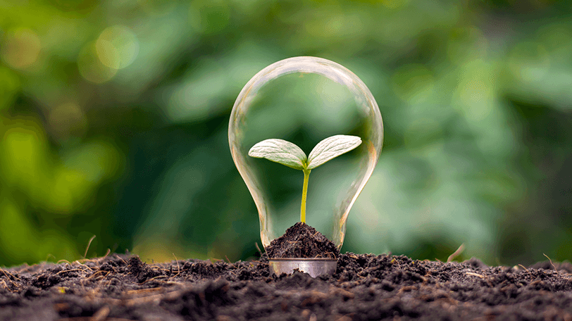 Treinamento em mudanas climticas e mercado de carbono na agropecuria brasileira